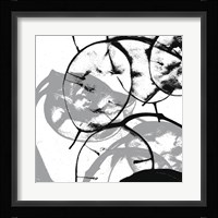 Silver Dollars V Framed Print