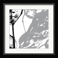 Silver Dollars VI Framed Print