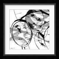 Silver Dollars VII Framed Print