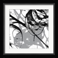 Silver Dollars VIII Fine Art Print