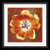 Tulip Fresco (red) Framed Print