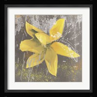 Tulip Fresco (yellow) Fine Art Print