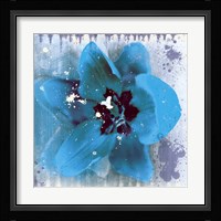 Tulip Fresco (blue) Framed Print