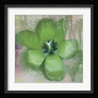 Tulip Fresco (green) Framed Print