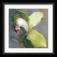 Tropicale Framed Print