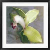 Tropicale Framed Print