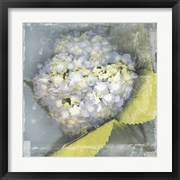 Antique Bloom Fine Art Print