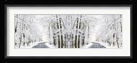 Two Roads Diverged in a Snowy Wood Fine Art Print