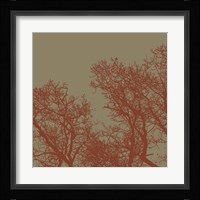 Cinnamon Tree I Fine Art Print