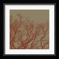 Cinnamon Tree II Framed Print