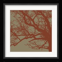 Cinnamon Tree III Framed Print