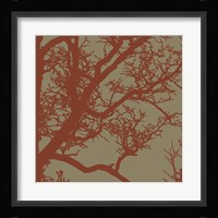 Cinnamon Tree IV Framed Print