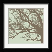 Winter Tree III Framed Print