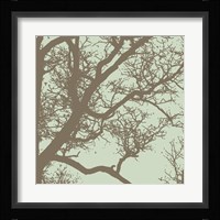 Winter Tree IV Framed Print