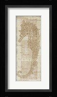 Sea Horse Framed Print