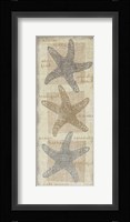 Star Fish Framed Print
