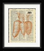 Carrots Fine Art Print