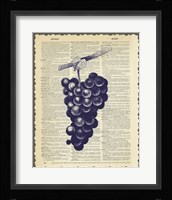 Grapes Framed Print