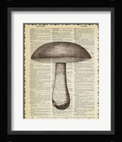 Mushroom Framed Print