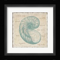Oyster Framed Print