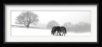 Grazing Pair Framed Print