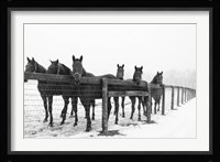 Six Faces Framed Print