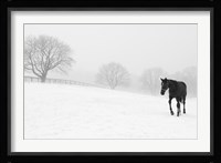 Walking In Fog Framed Print