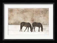 Grazing Pair Framed Print