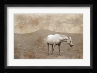 White Horse Vintage Fine Art Print