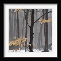Winter Forest Fine Art Print