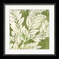 Sage Foliage Framed Print