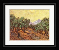 The Olive Trees, c.1889 Framed Print