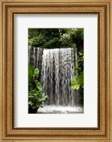 Singapore, National Orchid Garden, Waterfall Fine Art Print