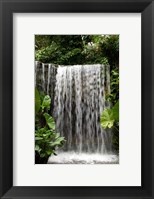 Singapore, National Orchid Garden, Waterfall Fine Art Print