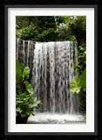 Singapore, National Orchid Garden, Waterfall Fine Art Print