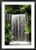 Singapore, National Orchid Garden, Waterfall Fine Art Print