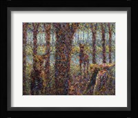 Encounter Fine Art Print