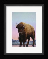 Thin Ice Fine Art Print