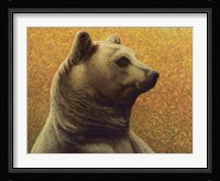 Bear Fine Art Print