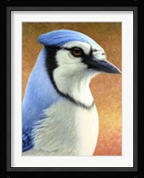 Blue Jay Fine Art Print
