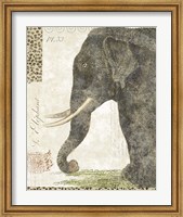L'Elephant Fine Art Print