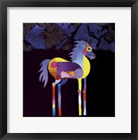 Night Foal Framed Print