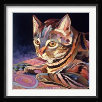 Nickels Framed Print