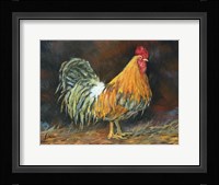 Harpo Fine Art Print