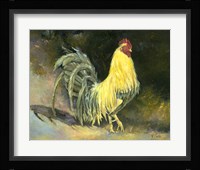 Samson Fine Art Print