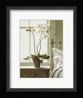 Orchids In The Window Fine Art Print