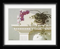 Orchid On Mantle Fine Art Print