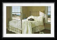 Lazy Afternoon Fine Art Print