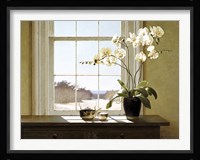 Orchids In The Window 2 Fine Art Print