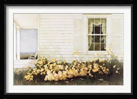 In Bloom Fine Art Print